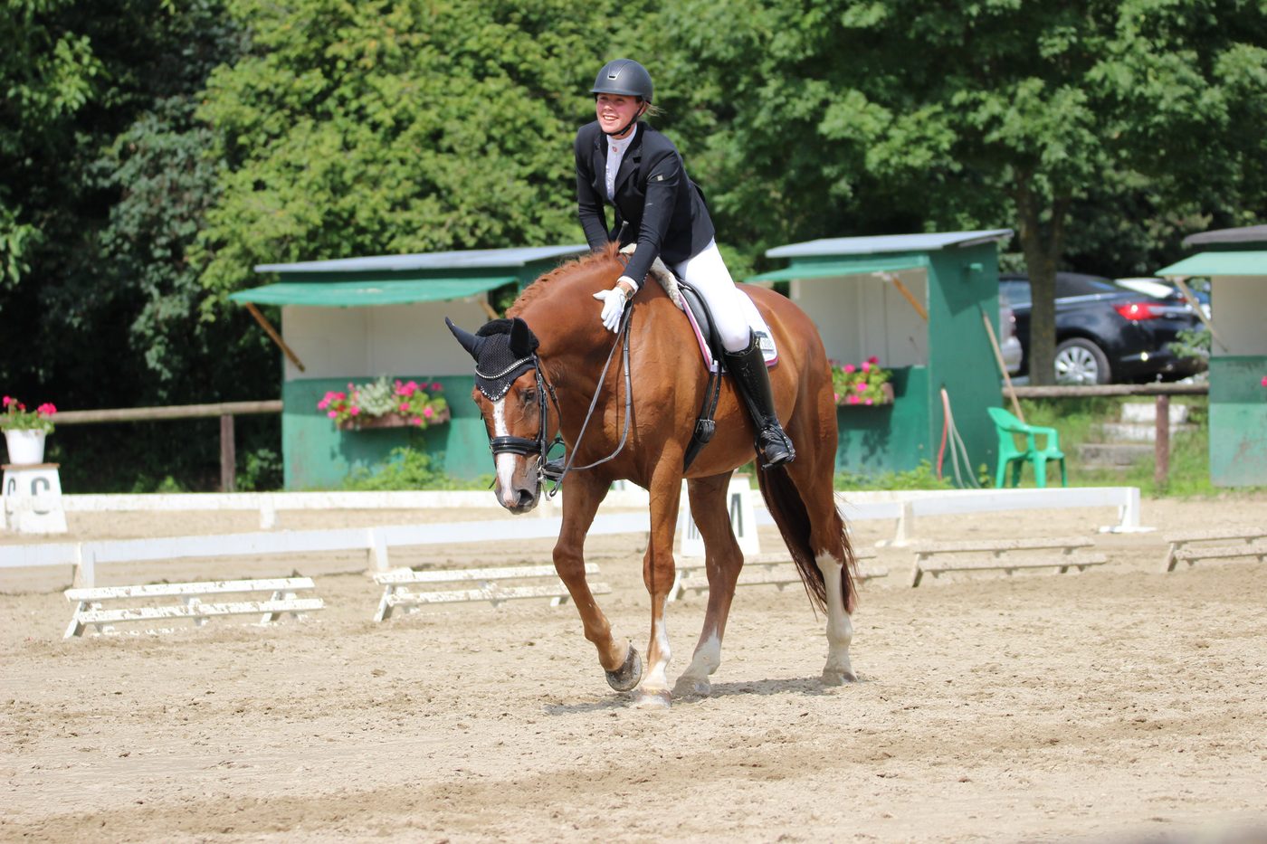 Dancing Download LH – Hannoveraner Dressurpferd von Anke Braun Sportpferde