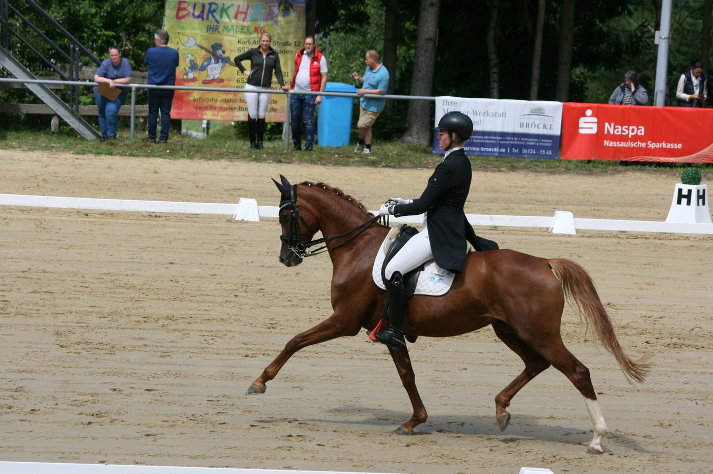 Dressurpferd auf dem Turnier