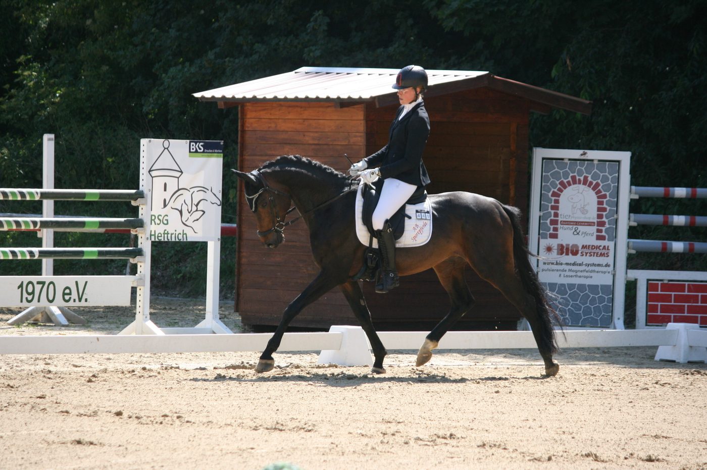 Dressurpferd im Turniereinsatz