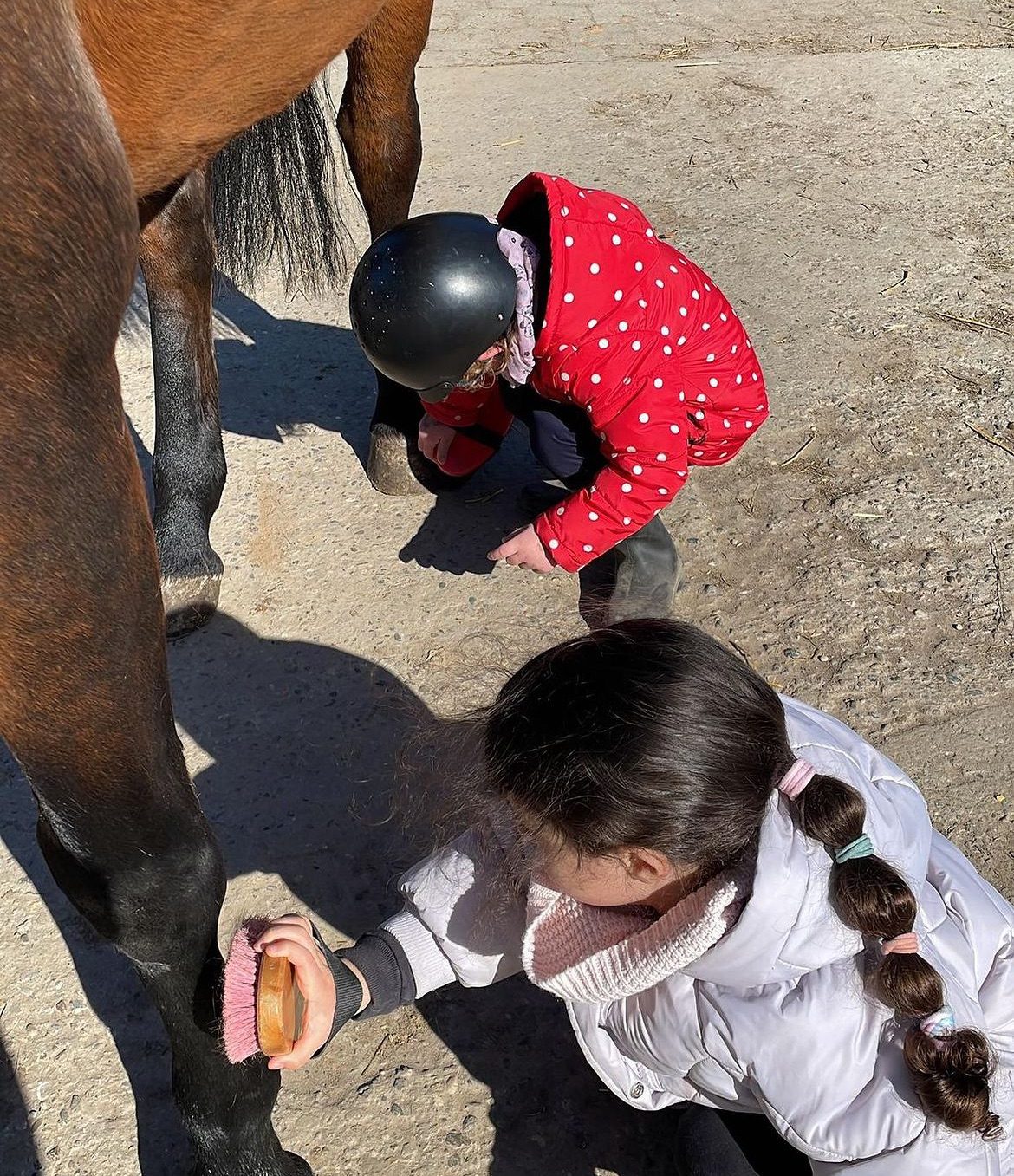 Kind putzt ein Pony in der Reitschule