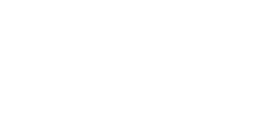 Anke Braun Sportpferde