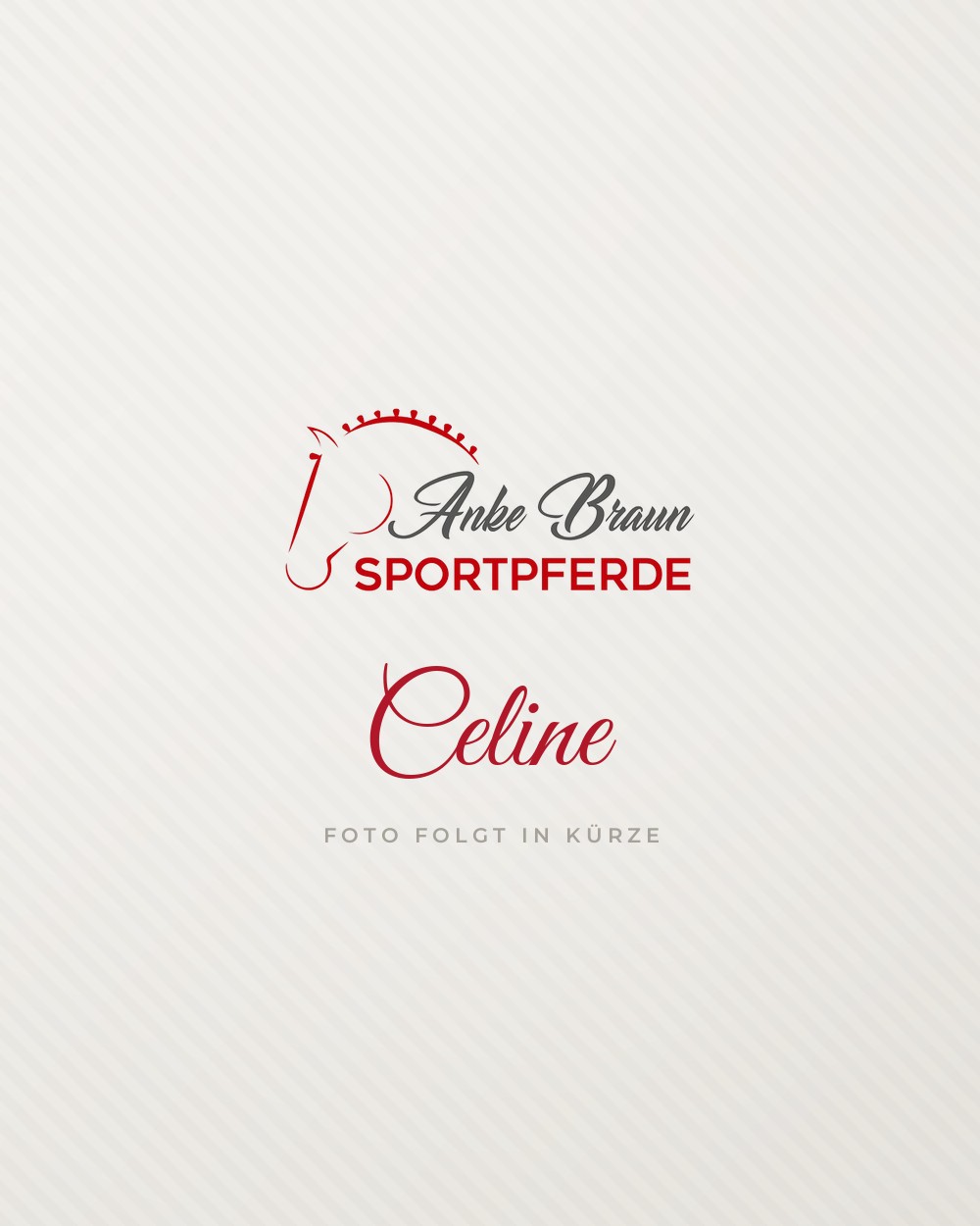 Celine, Auszubildende bei Anke Braun Sportpferde – Foto folgt in Kürze