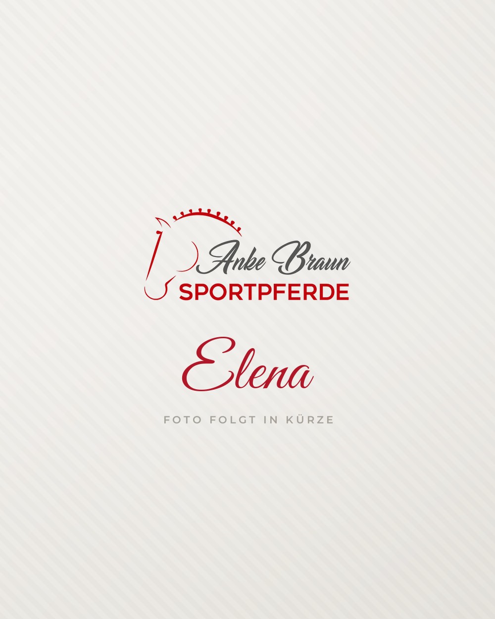 Elena, Trainerin C bei Anke Braun Sportpferde – Foto folgt in Kürze
