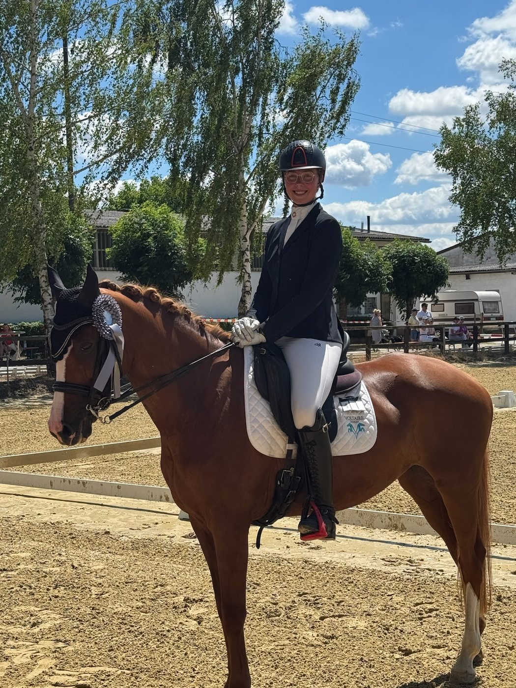 Sportpferd im Portrait