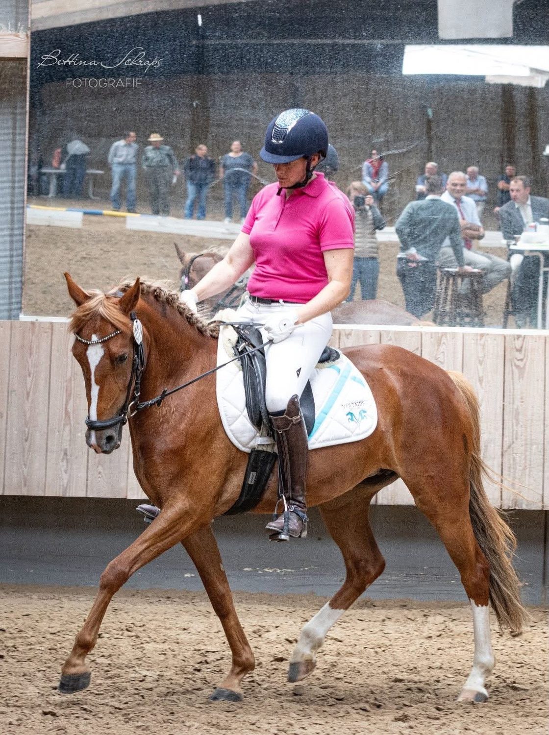 Secret Love LH – Deutsches Reitpony
